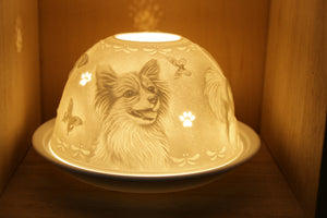 Nordic Lights - Papillion Dog