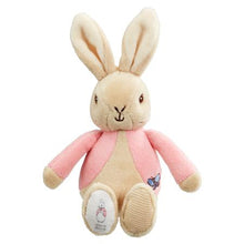 Load image into Gallery viewer, Rainbow Designs - Peter Rabbit and Flopsy Bunny Bean Rattles
