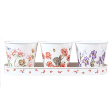 Load image into Gallery viewer, Wrendale Designs - Herb Pots ( floral)
