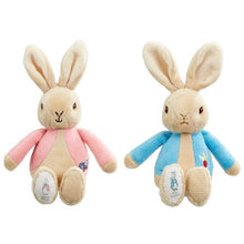 Load image into Gallery viewer, Rainbow Designs - Peter Rabbit and Flopsy Bunny Bean Rattles
