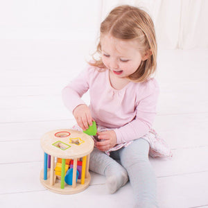 Big Jigs Toys - Rolling Sorter